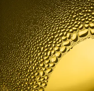 25-esg-report-website-header