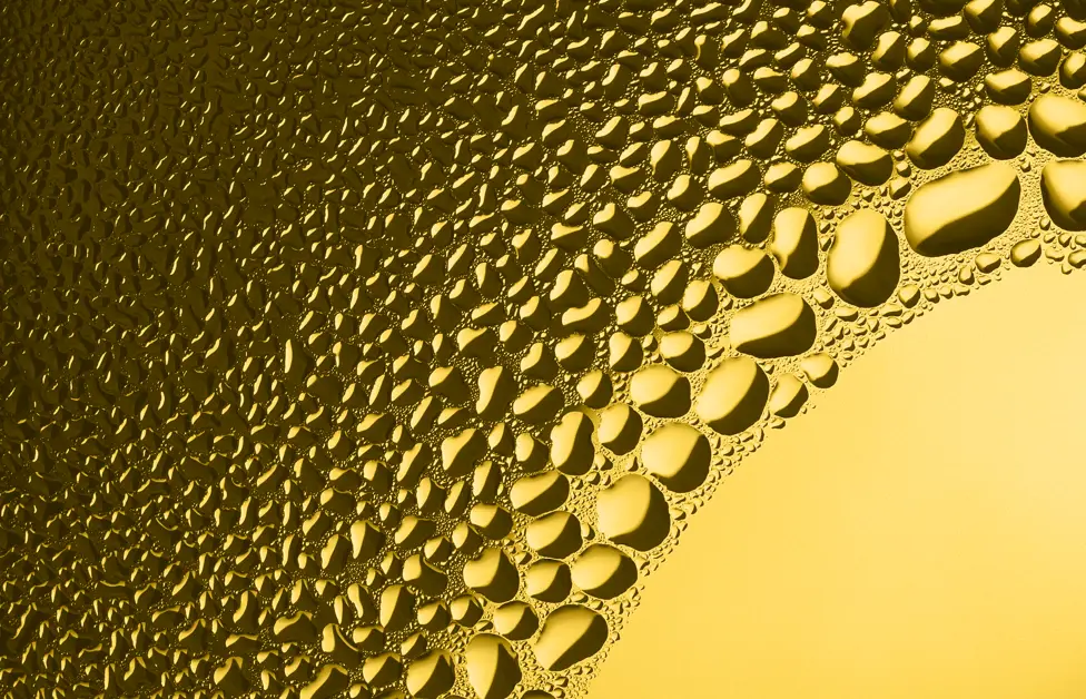 25-esg-report-website-header